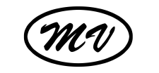 Micro Vision Enterprises