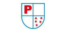 Pioneer Rubber And Chemical Company
